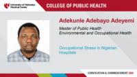 Adekunle Adebayo Adeyemi; Master of Public Health; Environmental and Occupational Health; Occupational Stress in Nigerian Hospitals